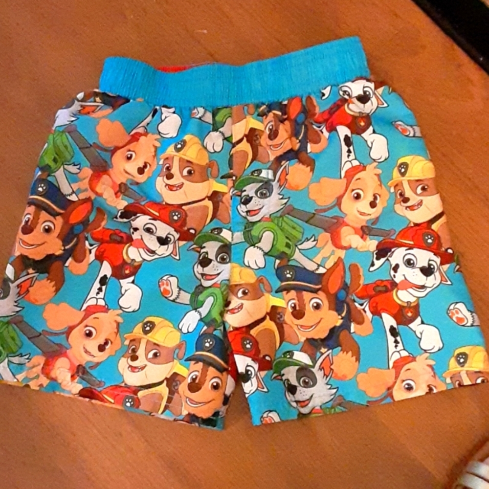 Nickelodeon Paw Patrol multicolored swimsuit trunks mesh lining size 2T EUC…